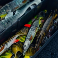 Savage Gear 3D Hybrid Pike 17cm/47g